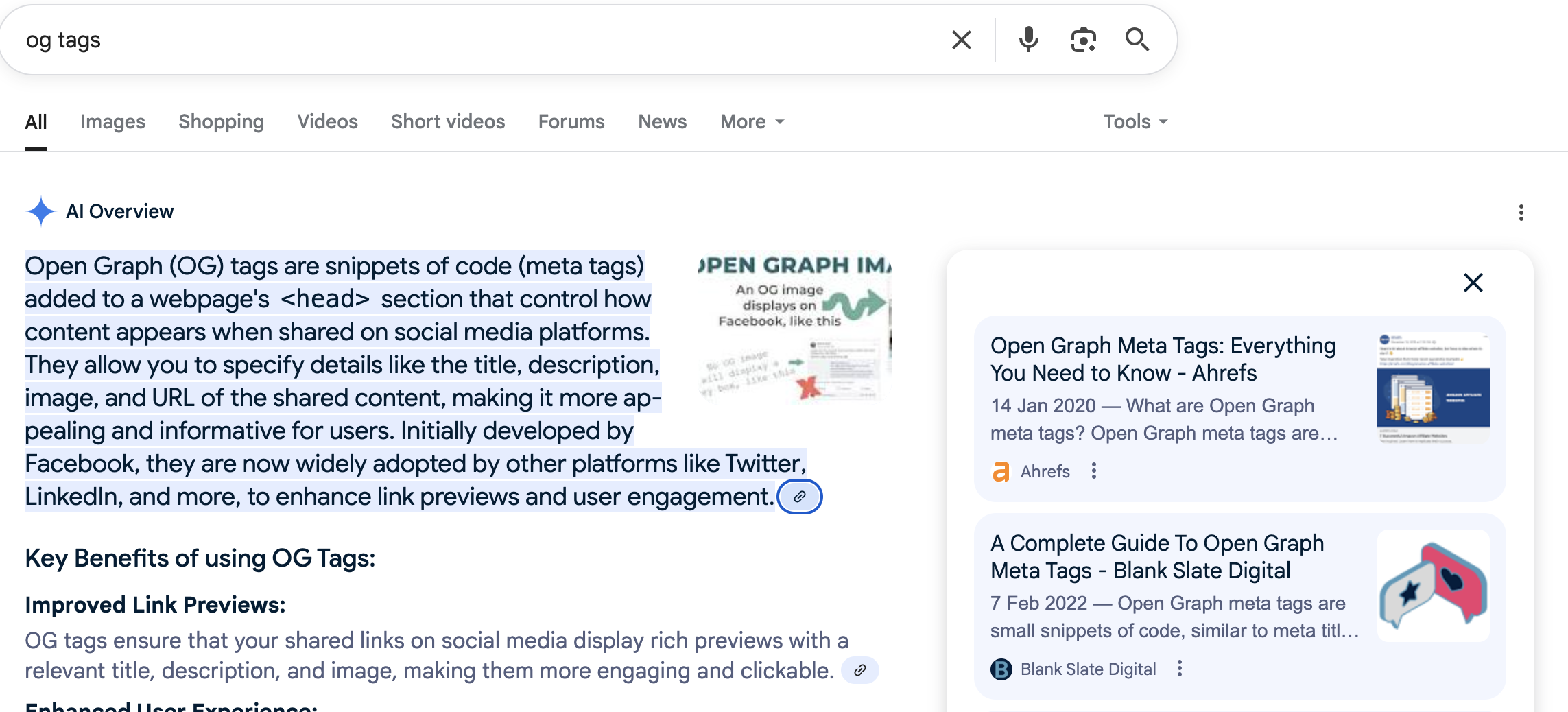 Open Graph Meta Tag Google Search Screenshot showing the AI overview