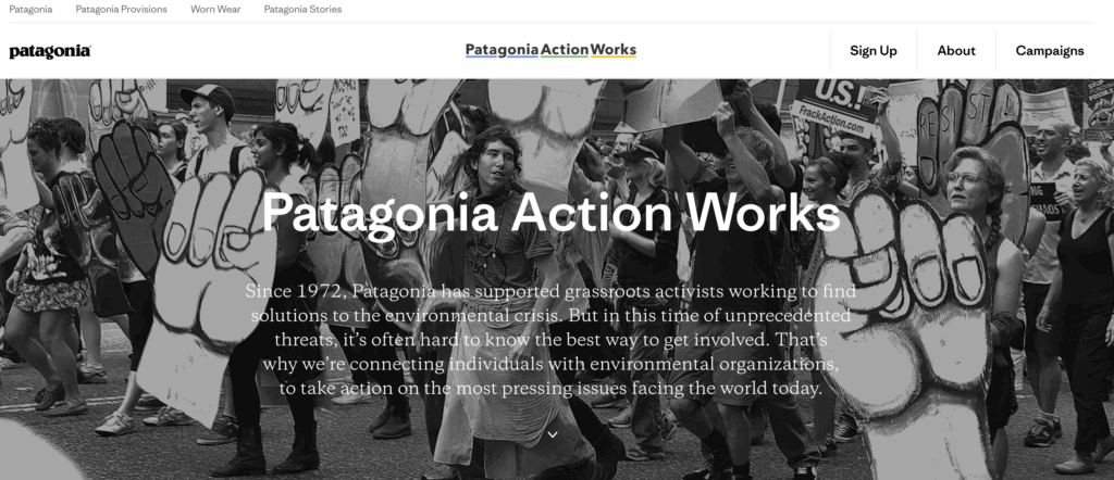 Screenshot of Patagonia action works website